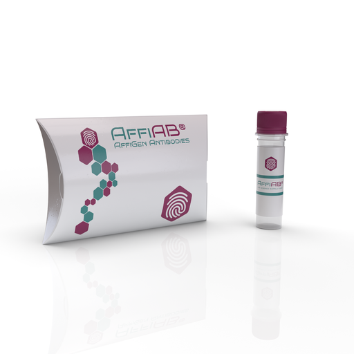 [AFG-CST-0002] AffiAB® FbpB Antibody Pair (MAb Detection + MAb Capture)